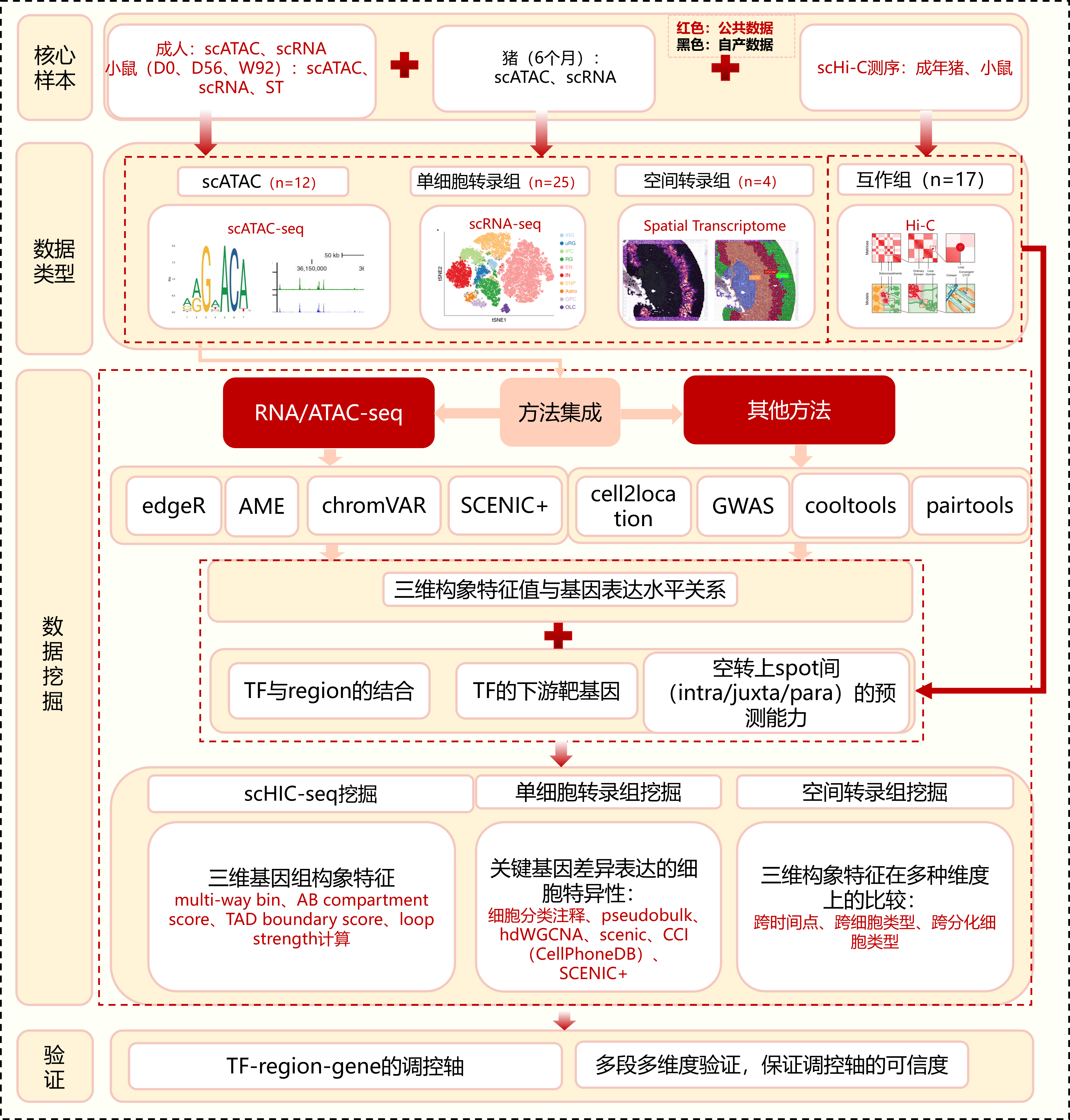 技术路线-1